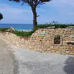 Armiriki *