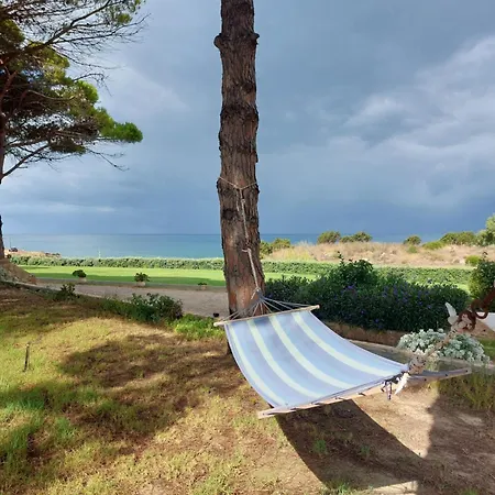 Armiriki Korakokhórion