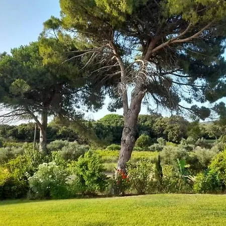 Apartamento Armiriki *