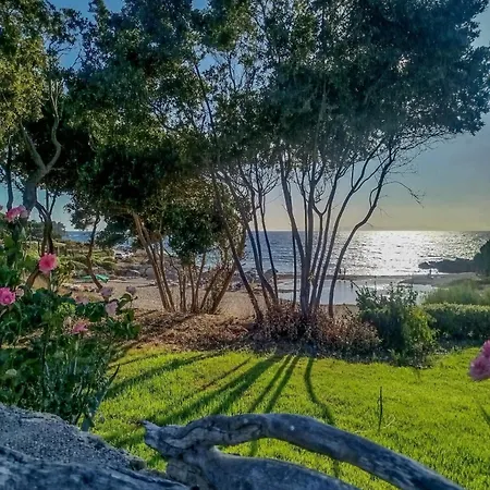 Armiriki * Κορακοχώρι