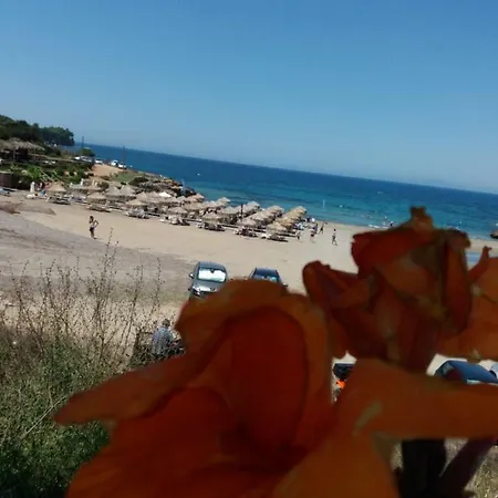 Armiriki Apartamento Korakokhórion