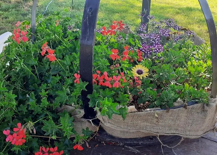 Апартаменты Armiriki *