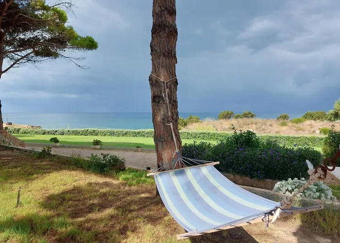 Armiriki Korakochori