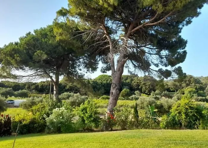 Апартаменты Armiriki *