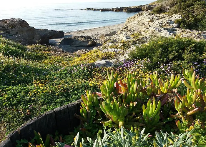 アパート Armiriki Korakokhórion